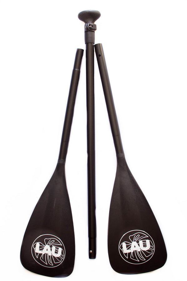 Double hybrid paddle